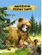 Сборник сказок. Лесные приключения малышам 